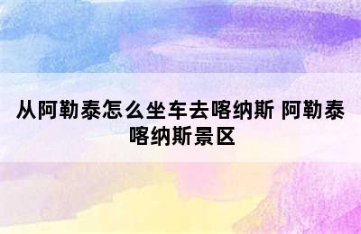 从阿勒泰怎么坐车去喀纳斯 阿勒泰喀纳斯景区